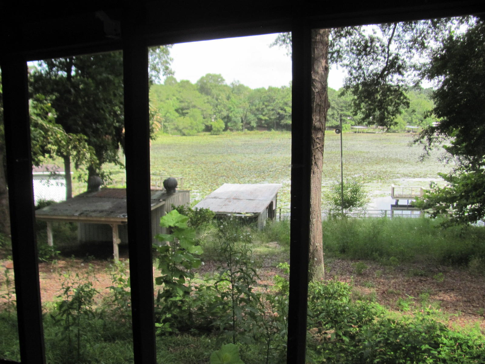 JUNIPER LAKE ESTATES - Residential