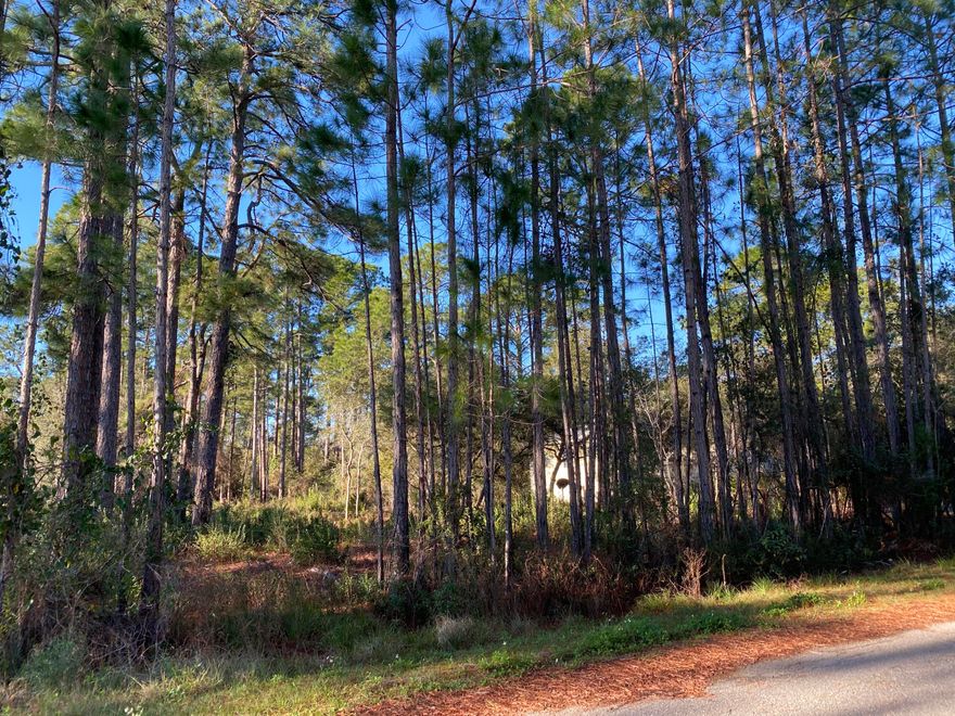 Beautiful level lot with a fantastic view. Survey, covenants, and additional information in the documents.