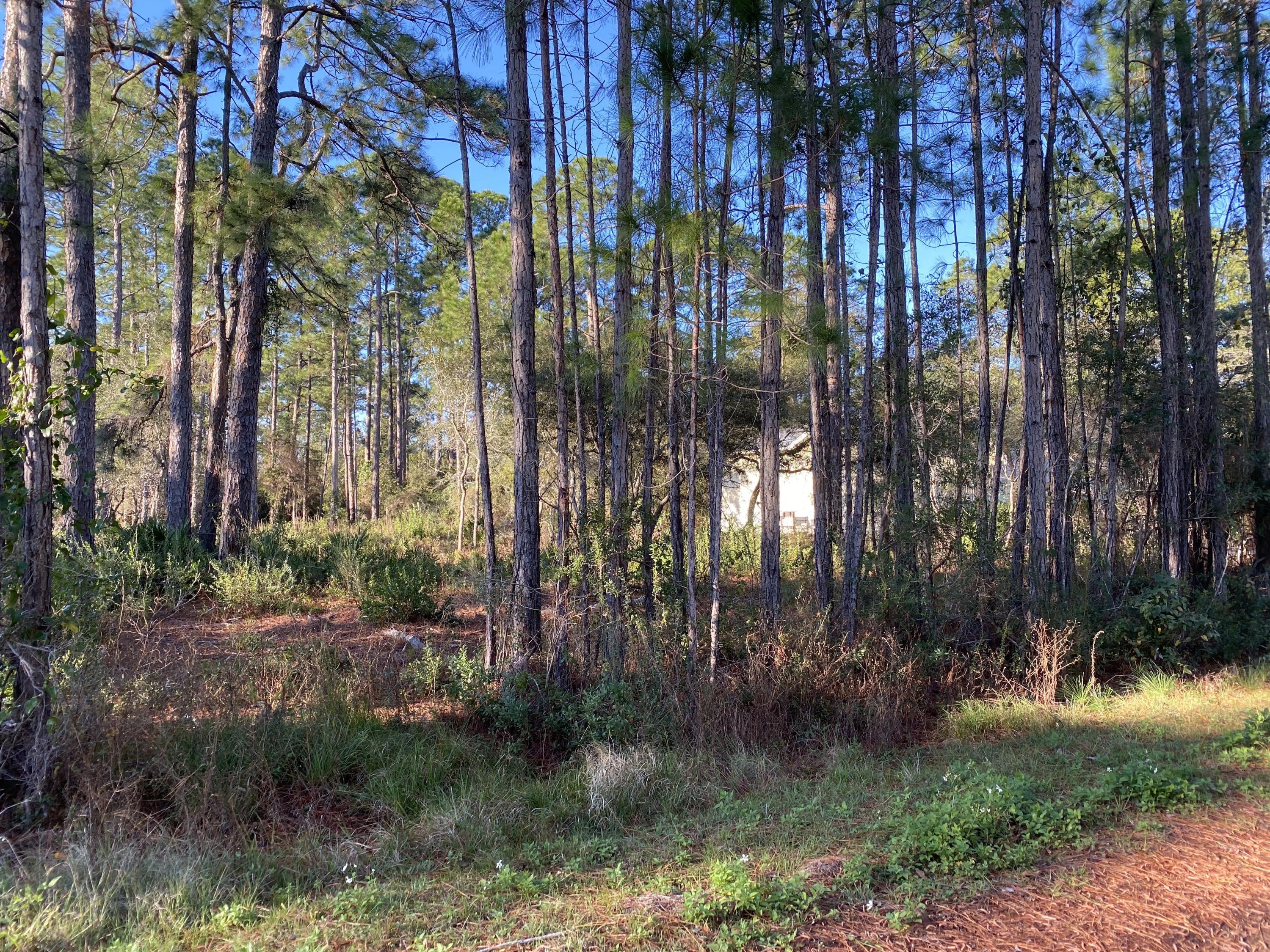 BAY PINE SHORES - Land