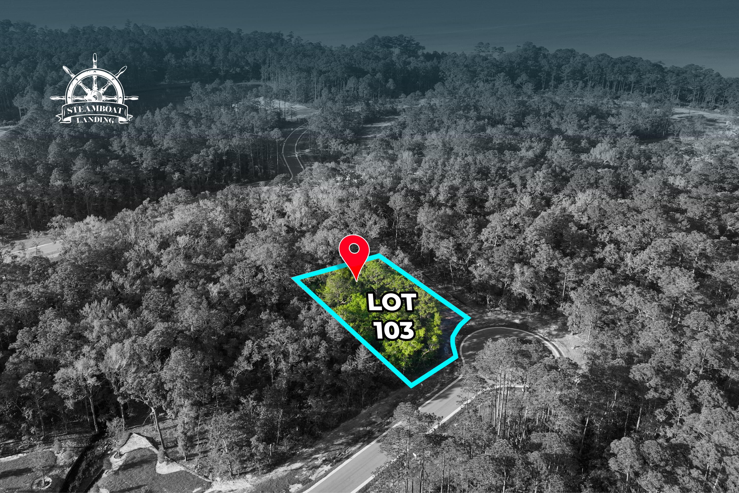 BUILD YOUR DREAM HOME ON THIS .53 ACRE LOT IN THE STUNNING WATERFRONT COMMUNITY, STEAMBOAT LANDING IN HAMMOCK BAY. Bayside living at its finest! This lot backs up to a wooded section of preserve. W/ easy access to stroll the boardwalk to the new clubhouse on the bay. Steamboat Landing includes a 500 ft long dock jutting westward into Choctawhatchee Bay - to view those stunning sunsets! Also, enjoy an abundance of stately, twisted oak trees, along with all of the great amenities of Hammock Bay: pools, clubhouses, sports complex, dog parks, sidewalks and nature trails. A new bayfront clubhouse is nearing completion. All of this within 20 minutes of the fabulous white-sand beaches and emerald green waters of So Walton. There is NO build out time and we can assist you when you are ready to