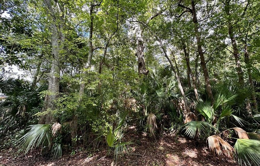 SHORT-TERM RENTALS ALLOWED!These lots are becoming increasingly hard to find. This high and dry vacant lot is located in Apalachicola's historic North side commercial district and is zoned C-2, making it friendly for short-term rentals. You have the option to build residential units, light retail spaces, restaurants, and more. This is a platted city lot with dimensions of 60' x 100'. It is covered with mature sycamores, magnolias, oaks, and palmettos, allowing you to nestle a home among the trees for added privacy. The property is just three blocks from the Chapman Botanical Gardens and Orman House State Park, four blocks from the farmer's market at Mill Pond Marina, and only eight blocks from the heart of downtown Apalachicola.