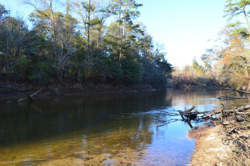 **If you have ever felt like you wanted to ''Get Back to Nature'', you must see and experience this secluded riverfront property*Located in Covington County, AL, just north of the FL State Line, it is just a short drive from Crestview, FL*This a 1.7 Acre property with 316 feet of the beautiful Yellow River in a pristine, heavily wooded natural setting*This property has been owned, and cared for by the same family for the past 38 years*The rustic, one room cabin sits on pilings on a high bank above the river, and is comfortable and functional with a wood burning stove, air conditioning, full bath, kitchen, and is selling fully furnished*The Conecuh National Forest is your neighbor just across the river, and combined with the adjacent Blackwater River State Forest totals over 294,000 Acres**