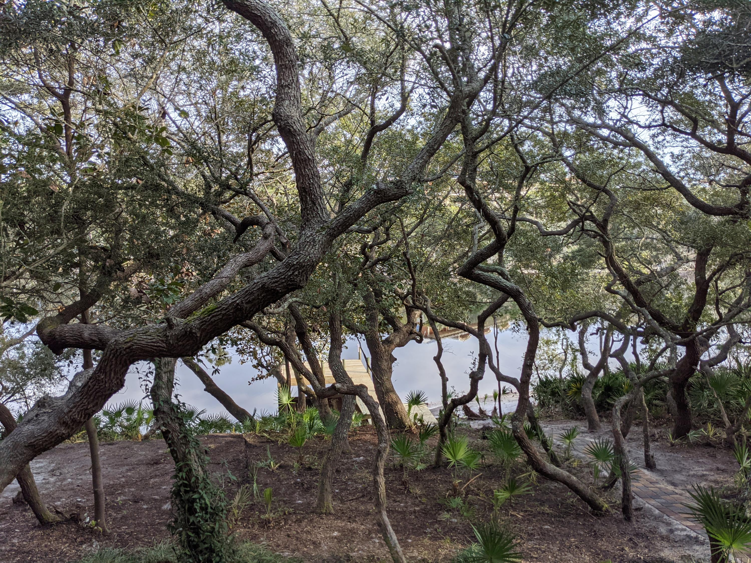 BLUE MOUNTAIN BEACH - Residential