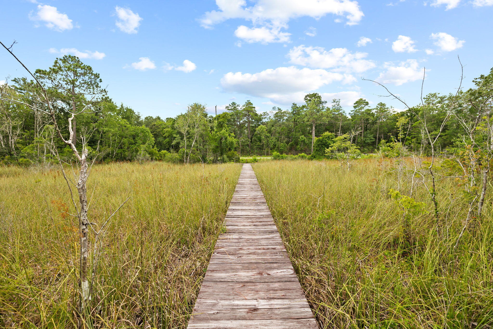 MAGNOLIA BEACH - Land
