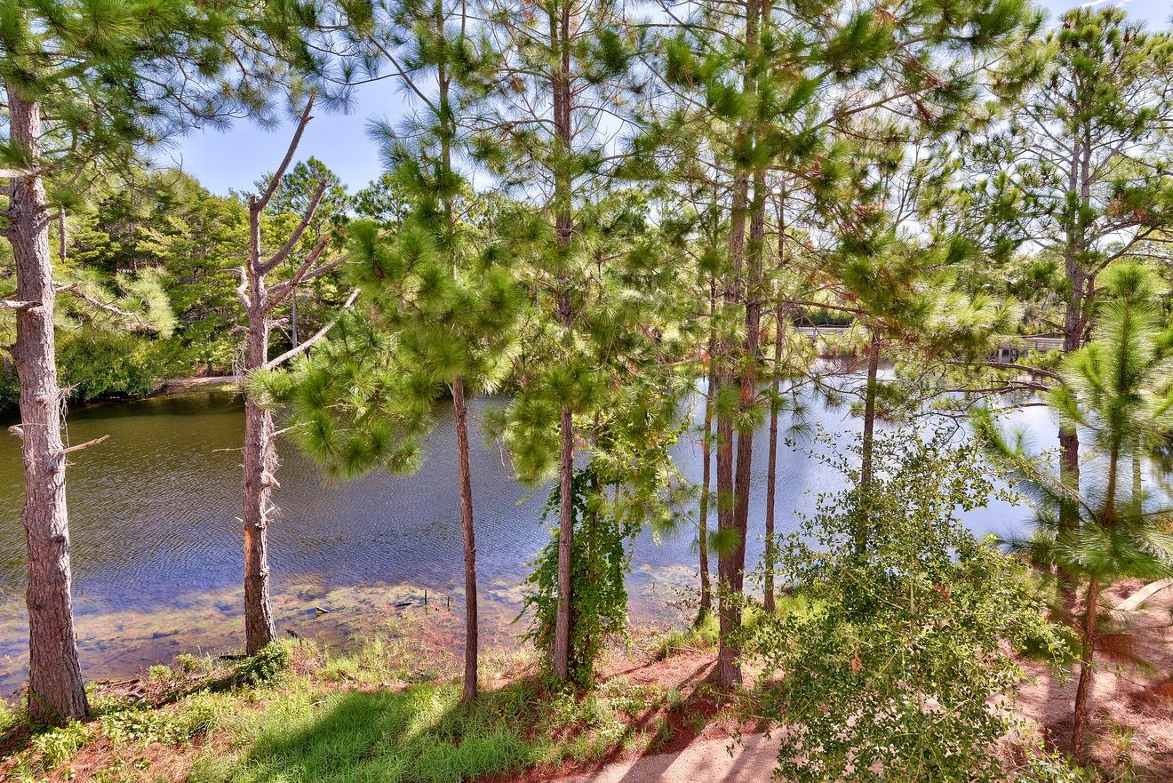 FOREST LAKES PH II - Residential