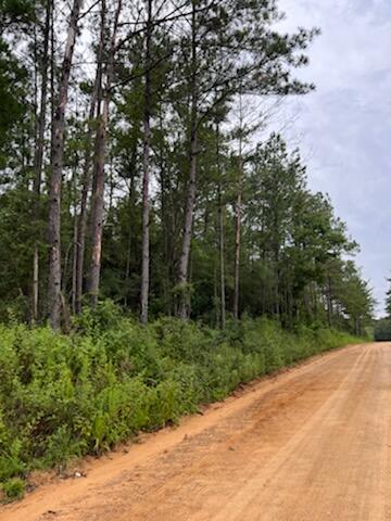 Spring Hill Farms S/D - Farm