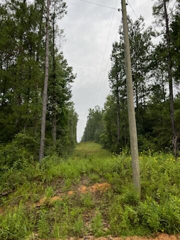 Spring Hill Farms S/D - Farm