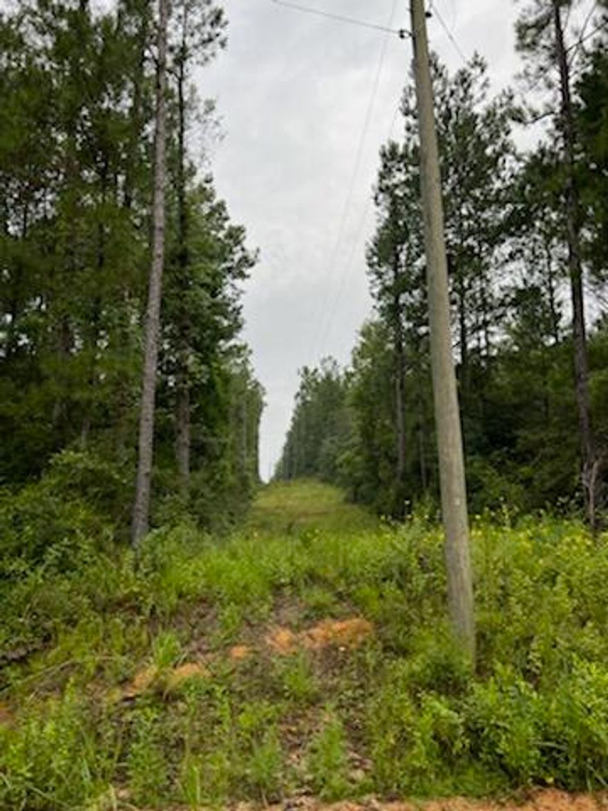 High and dry 11.2 acres in country setting a block away from Hwy 81, north of Ponce de leon.  Land is sitting on hill which would make a perfect spot for a home or mobile home.  Lot is wooded with large pine trees. There is a power line that goes through the property.  There are no improvements on land.  This is one of the higher elevations in Holmes county.  Call today to schedule a showing.
