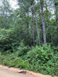 Spring Hill Farms S/D - Farm