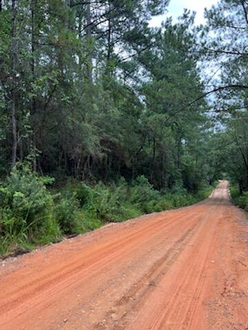 Spring Hill Farms S/D - Farm