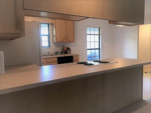 HOLLEY BY THE SEA - Residential