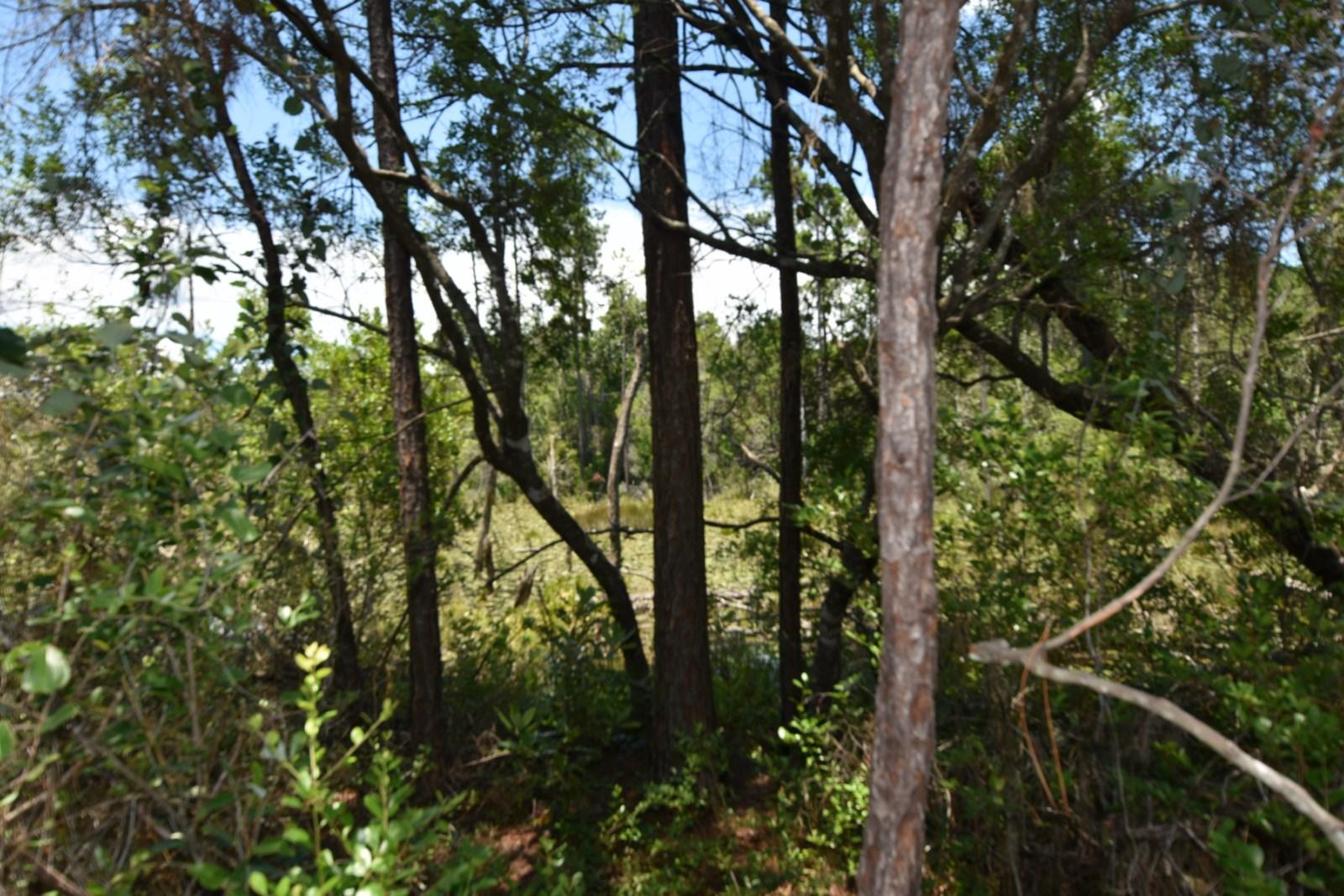 FOX VALLEY PH 3-A - Residential