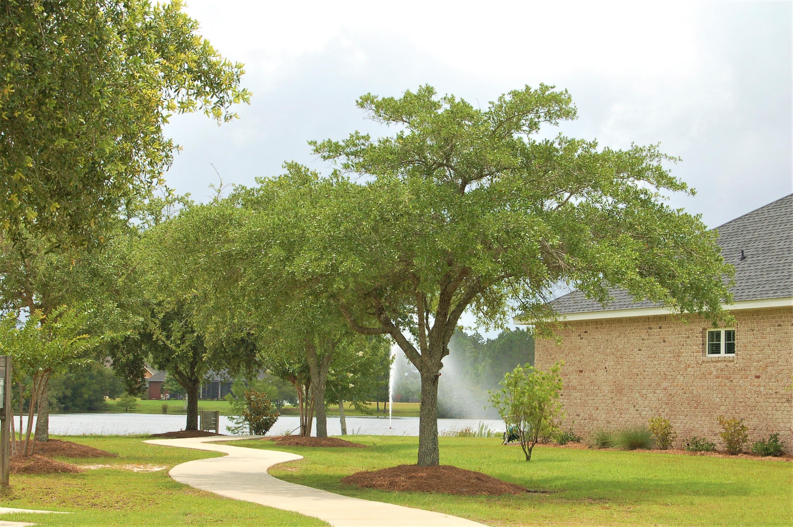 The Moors Golf & Racquet Club - Land