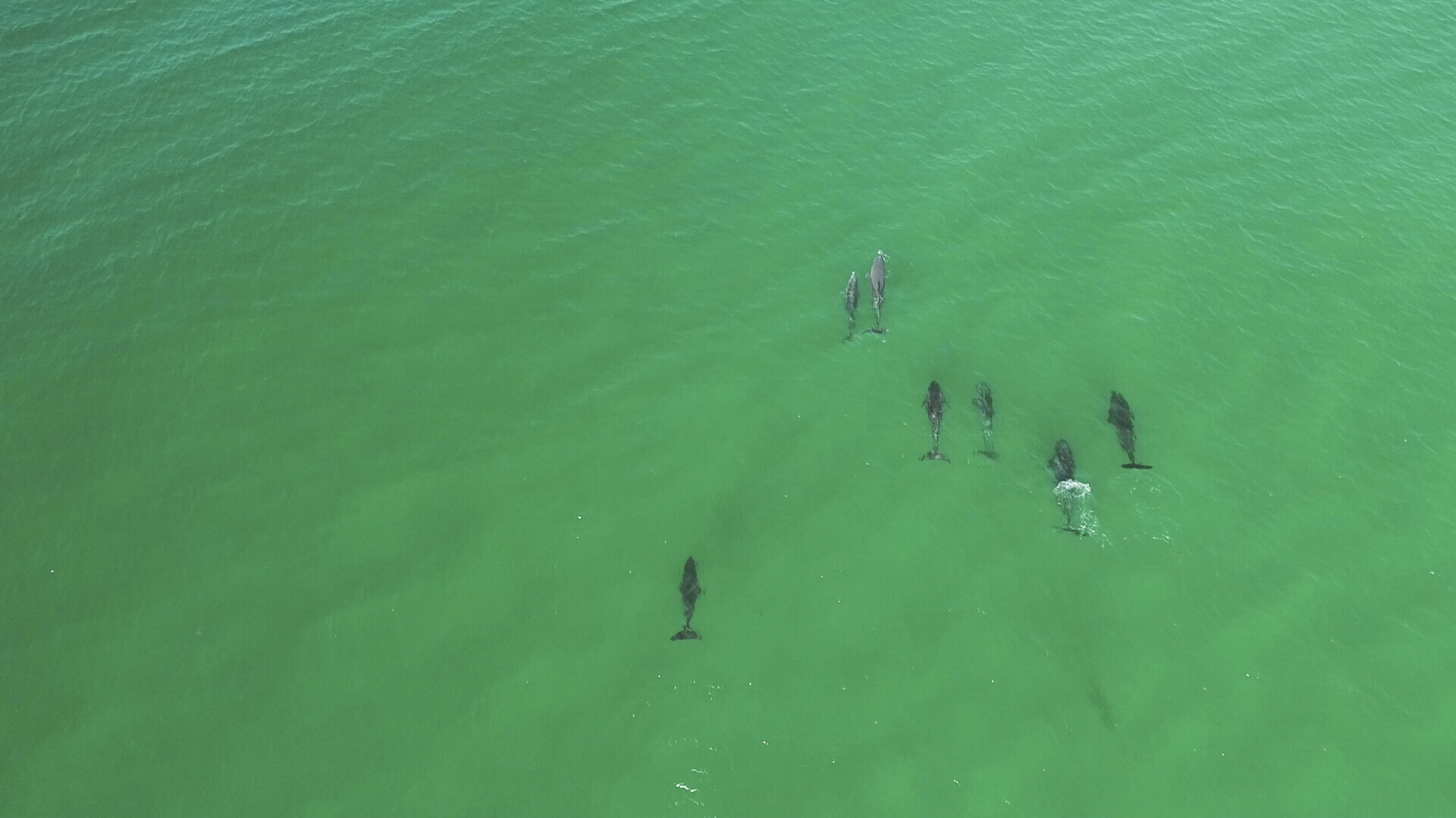 AVALON BEACH ESTATES - Residential