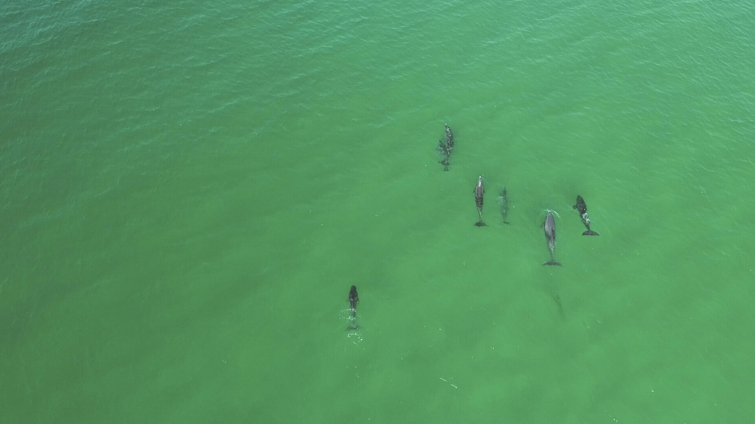 AVALON BEACH ESTATES - Residential