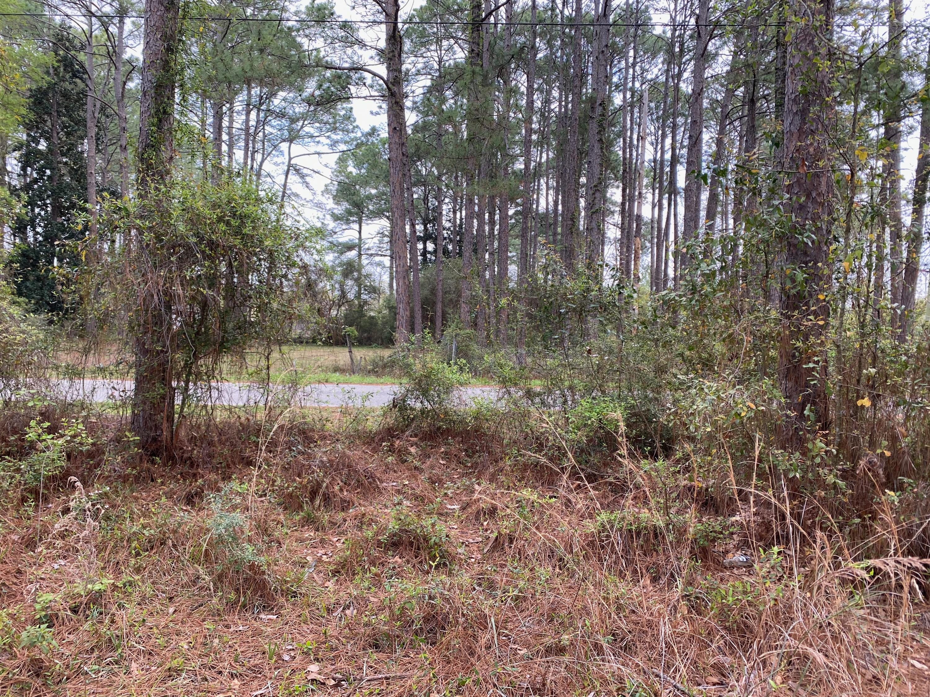 Bluewater Common - Land