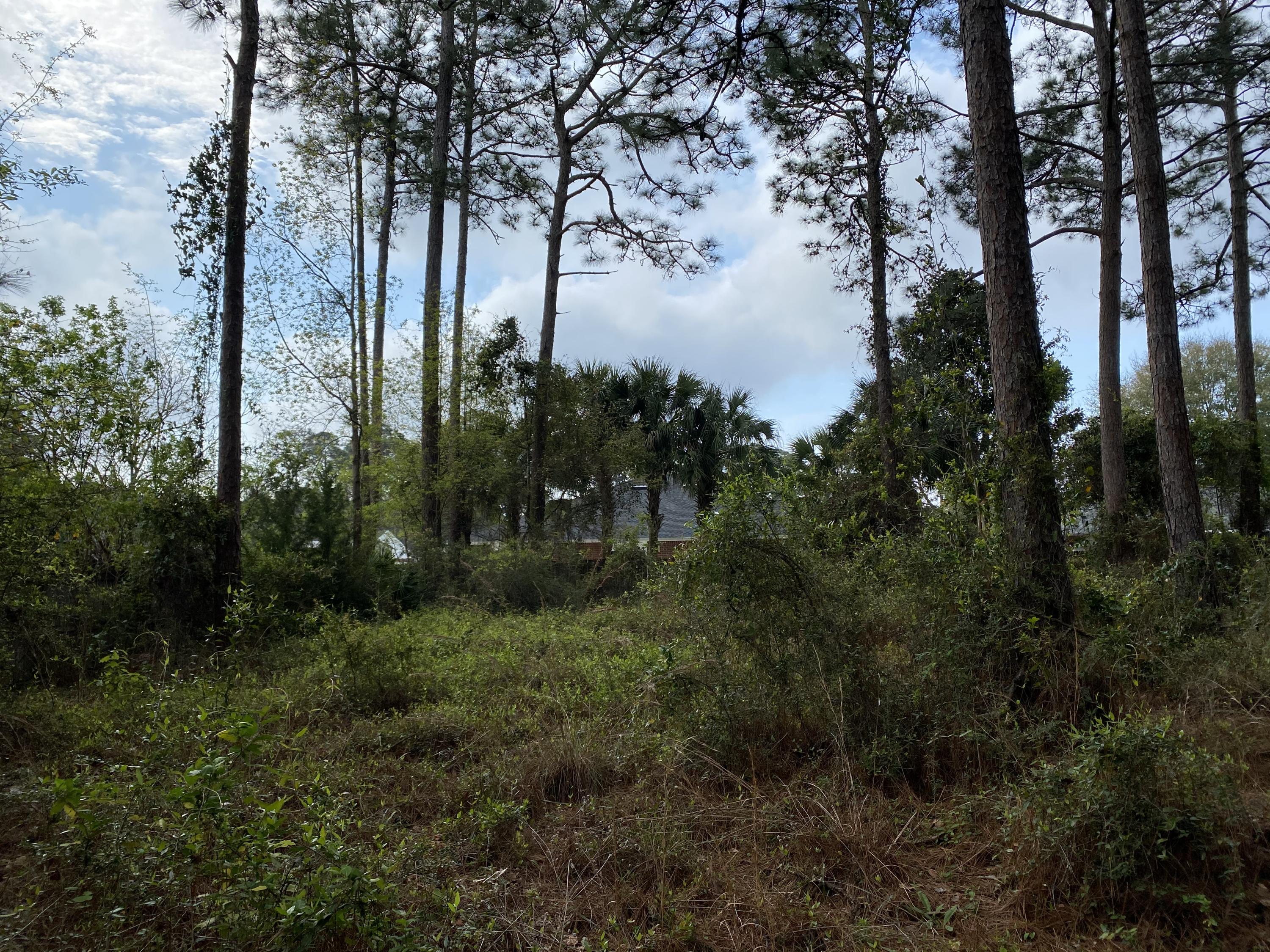 Bluewater Common - Land