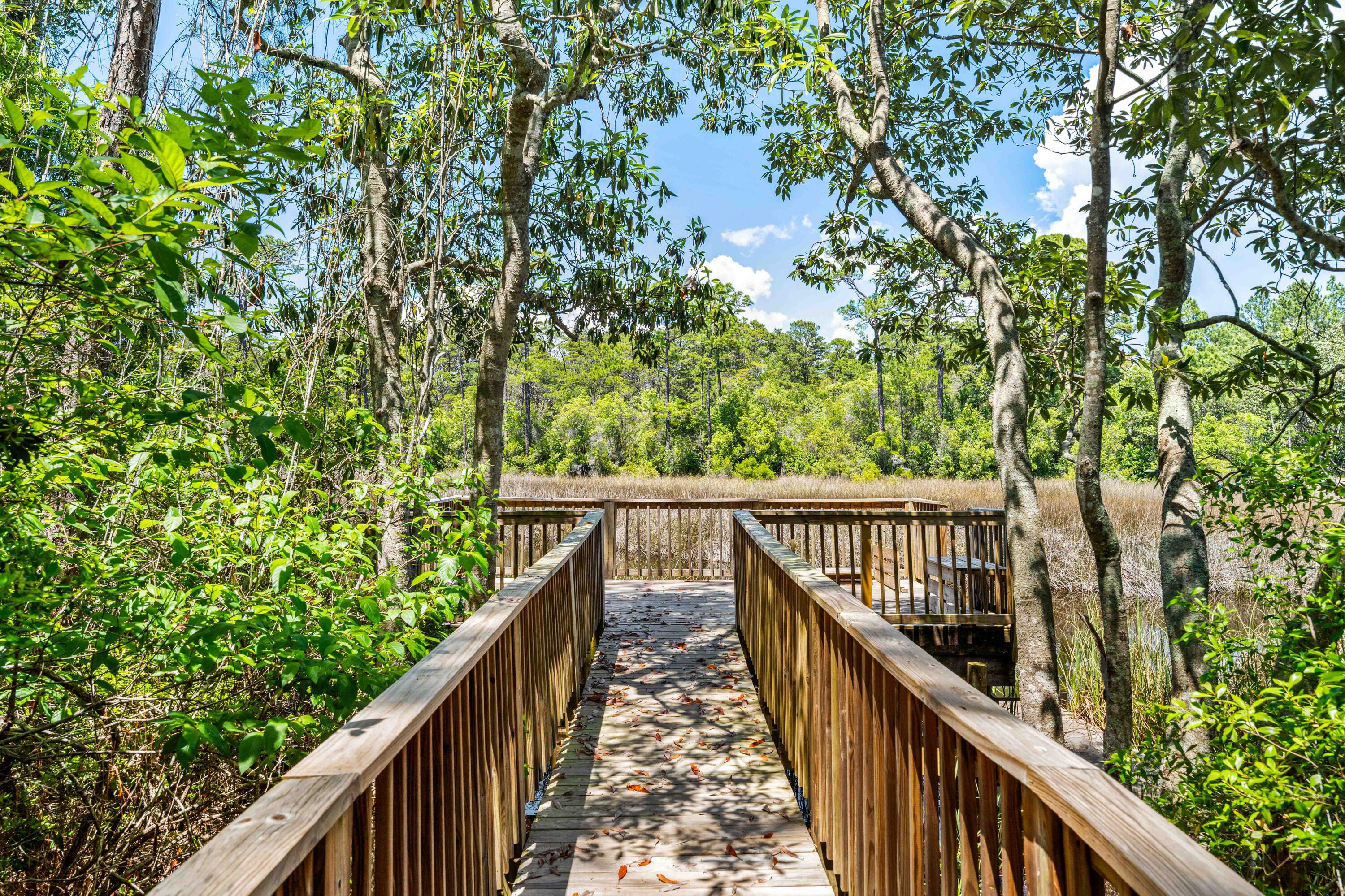 THE PRESERVE AT INLET BEACH - Residential