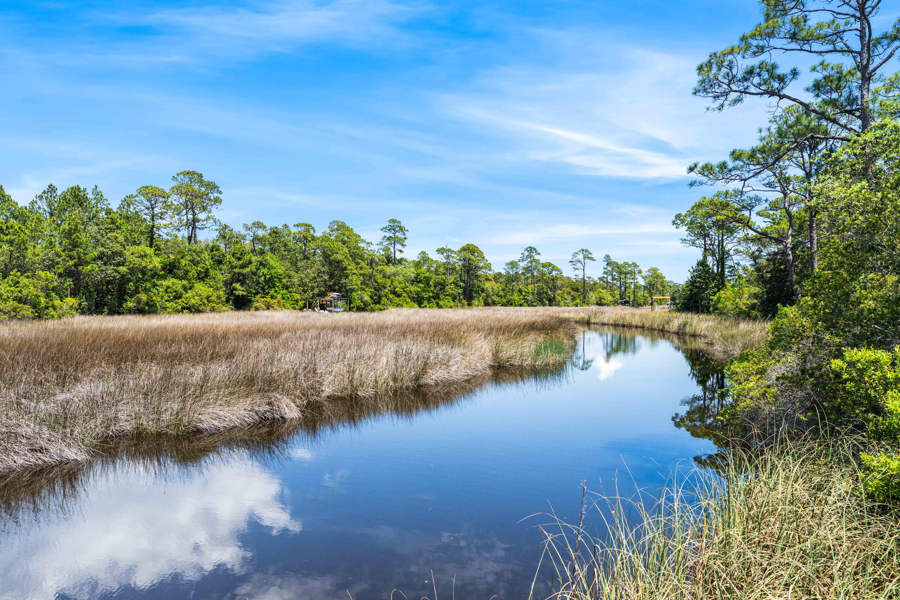 THE PRESERVE AT INLET BEACH - Residential