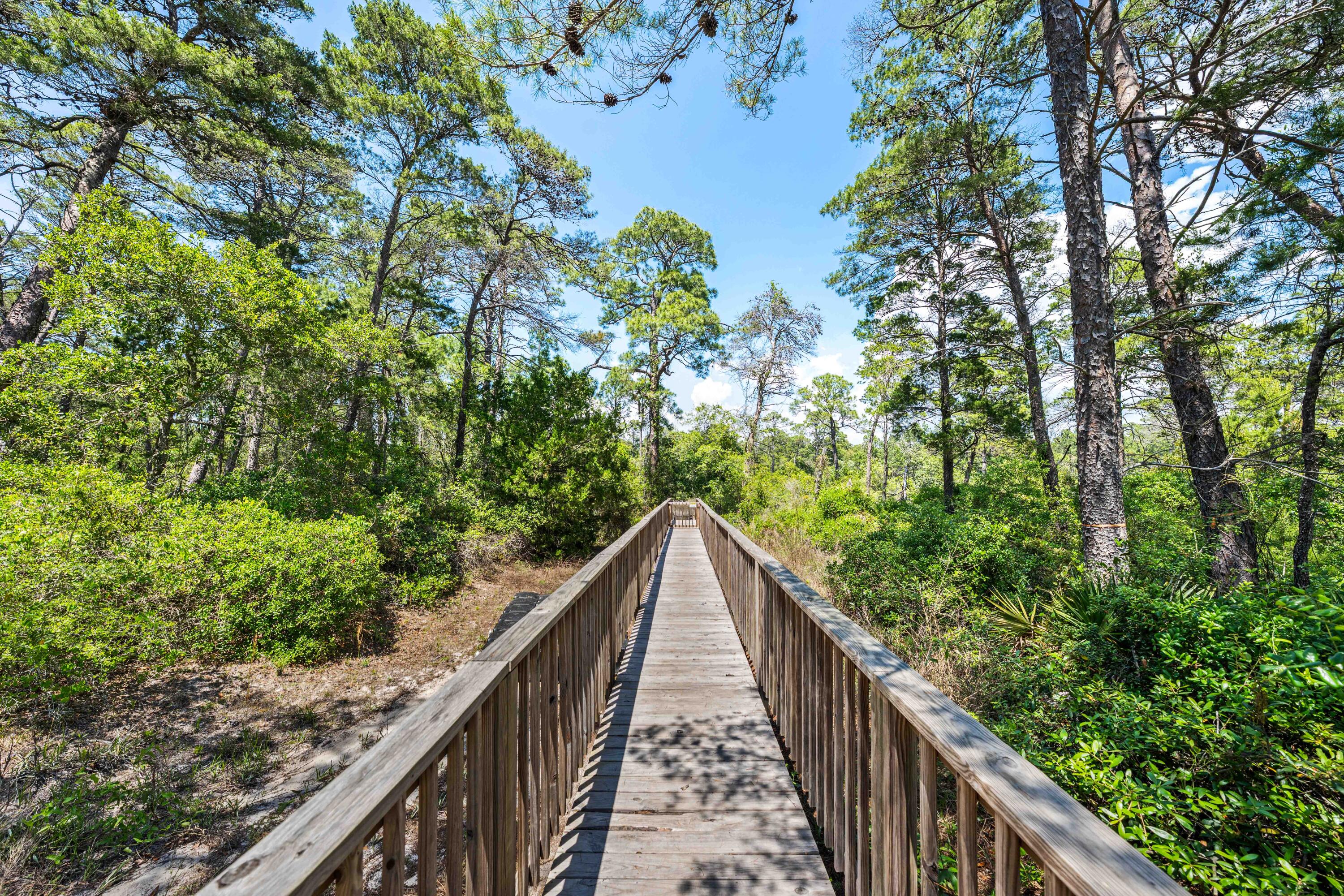 THE PRESERVE AT INLET BEACH - Residential