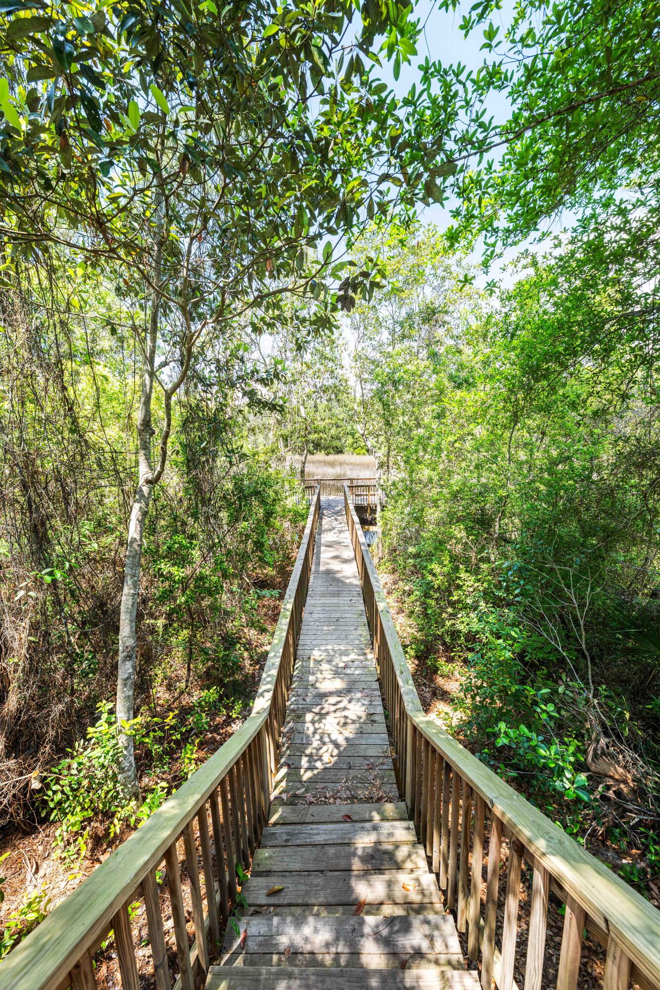 THE PRESERVE AT INLET BEACH - Residential
