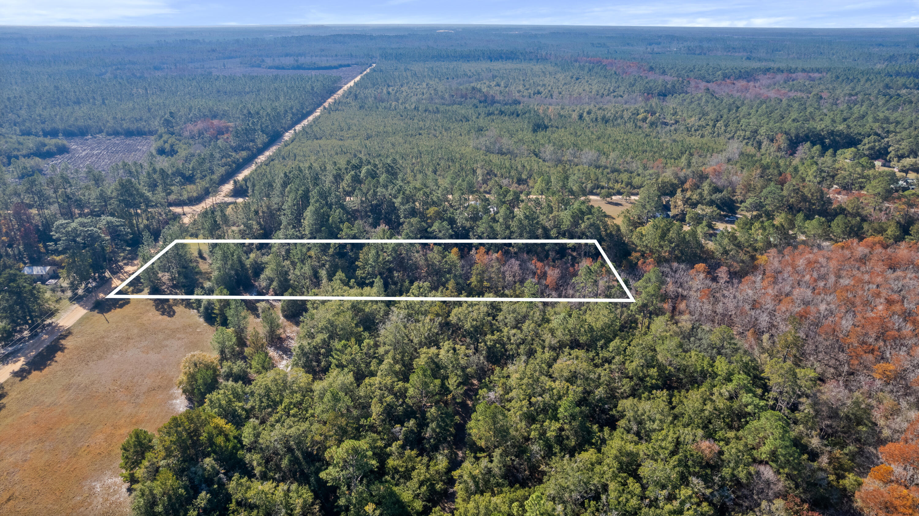 Fire County Mosquito (55) - Land