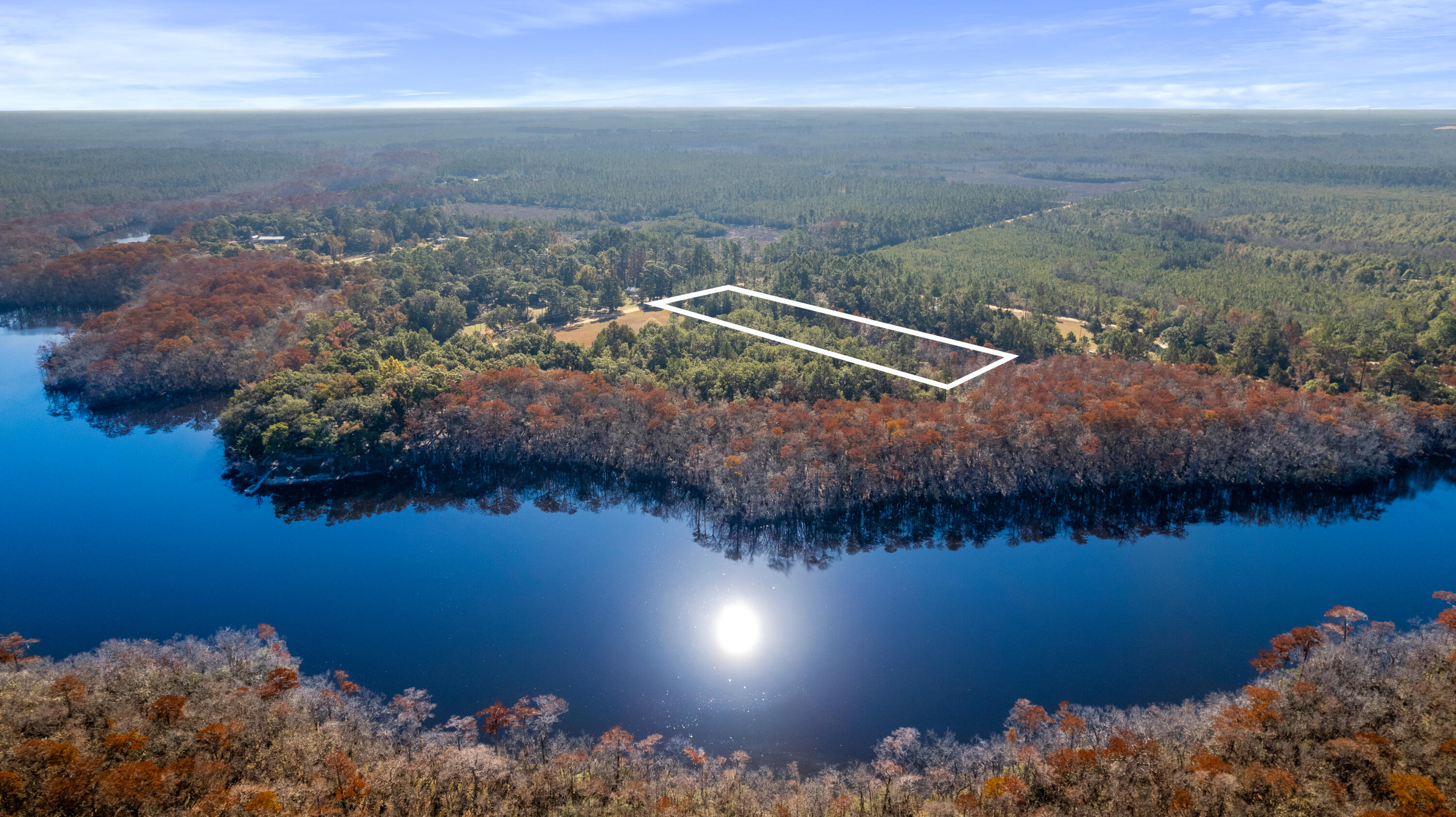 Fire County Mosquito (55) - Land