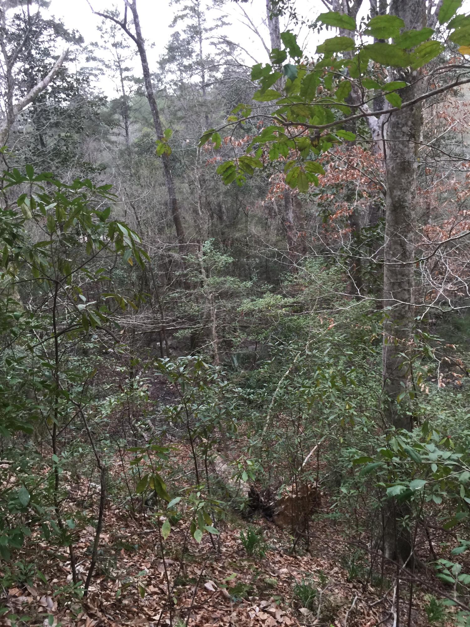 METES & BOUNDS - Land