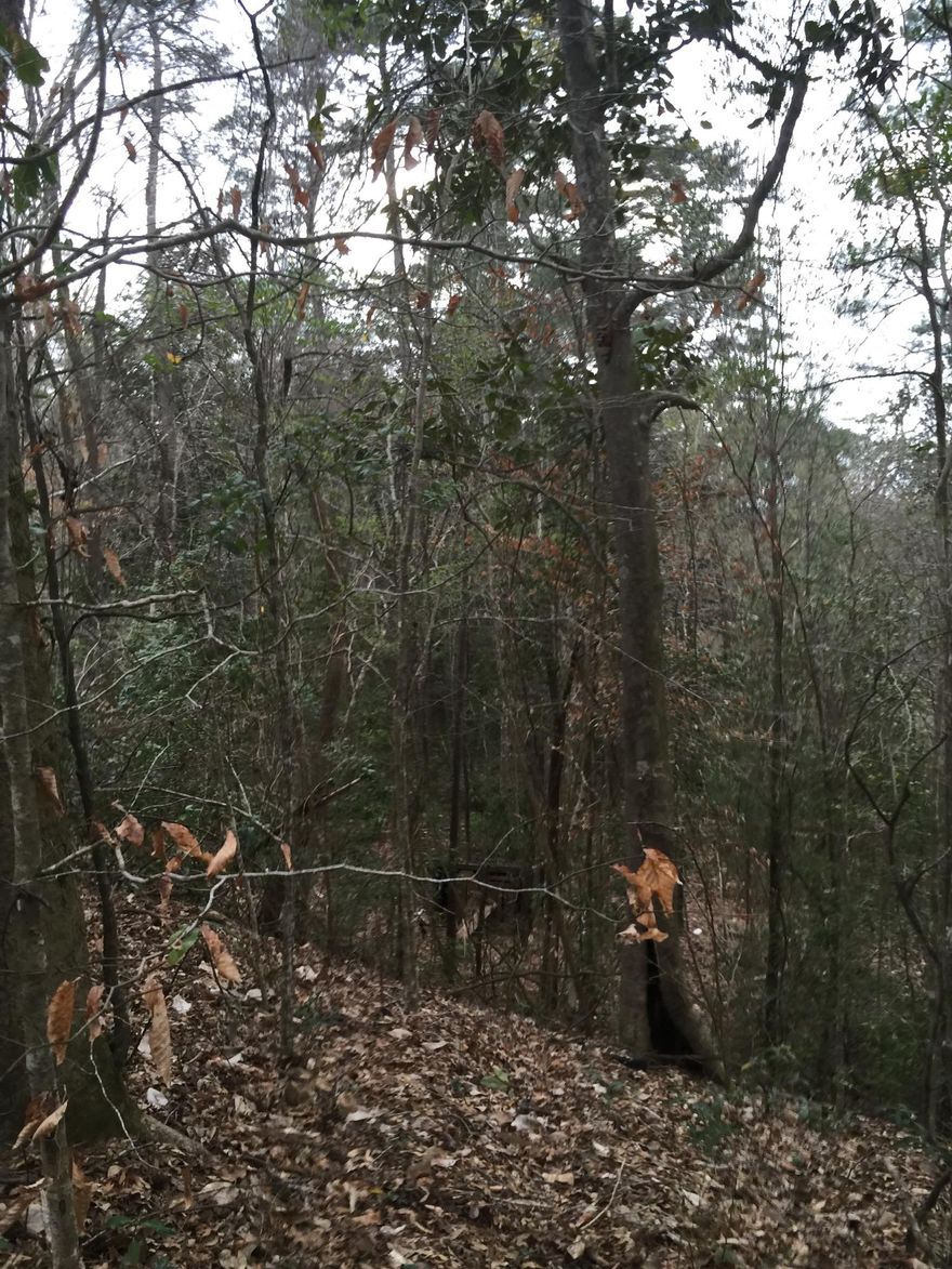 1.5 Acres on Shoal River!!! Lot is high bluff with steep decline to the river. Beautiful spot for your log cabin overlooking Shoal River! Bring your home plans and your fishing pole!!!
