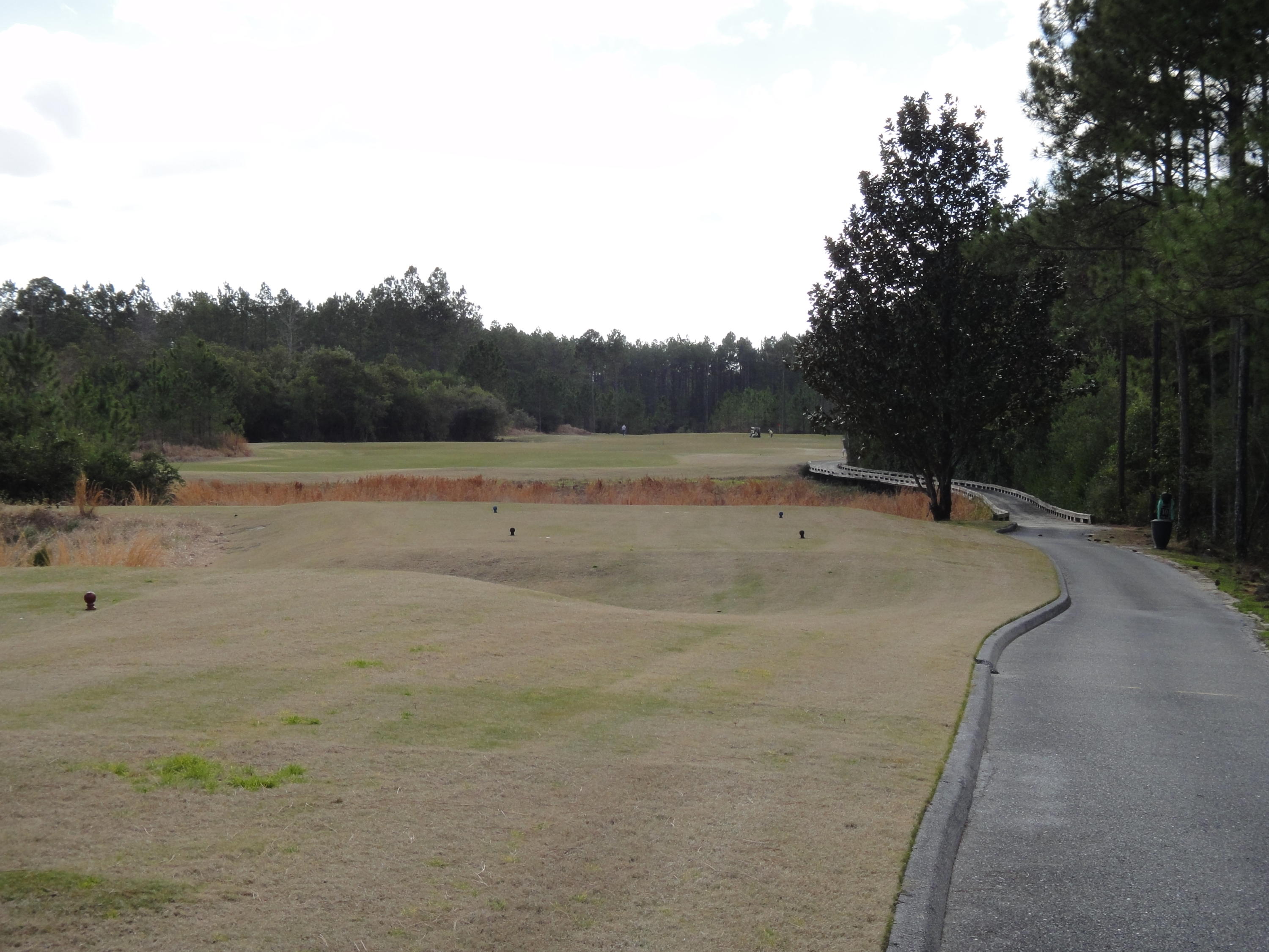 WINDSWEPT ESTATES - Land