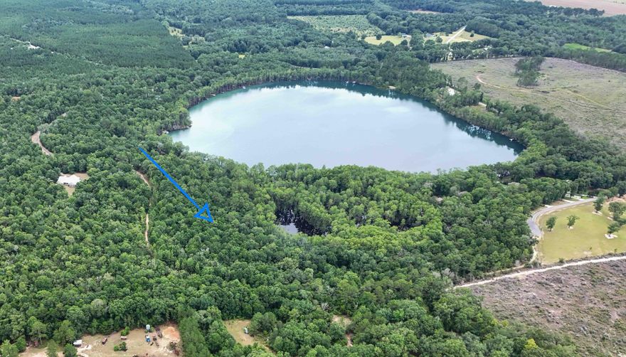 Discover your own slice of paradise on this breathtaking parcel, nestled alongside the picturesque Blue Pond Community.  This cypress-fringed oasis is not just a feast for the eyes, it's your personal fishing haven! Cast your line and reel in some relaxation, or simply bask in the tranquil atmosphere. Want to build your dream home surrounded by natural beauty? Go for it! Fancy a rustic cabin retreat? The choice is yours with no HOA! Whether you're seeking a weekend getaway, a permanent residence, or an investment opportunity, this expansive acreage offers endless possibilities. Don't let this chance to own a piece of Blue Pond's natural splendor slip away.  It is time to make your mark on this unspoiled wonderland!