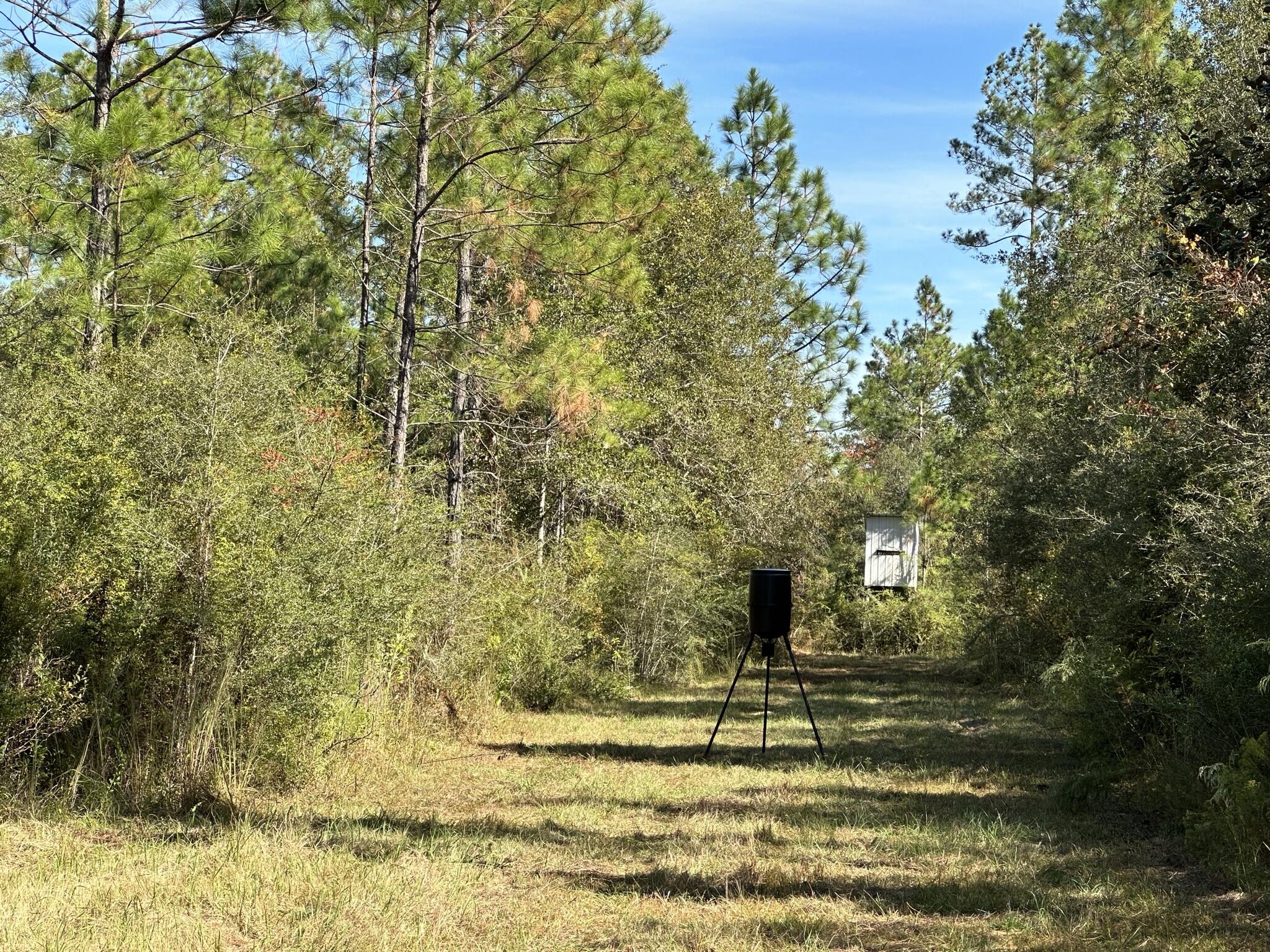 17.43 acres located in Baker perfect for quiet living! Schedule a time to see this rare find today! Bring your house plans, tractor, four Wheeler , horses and cows for that perfect farm life Home Site!