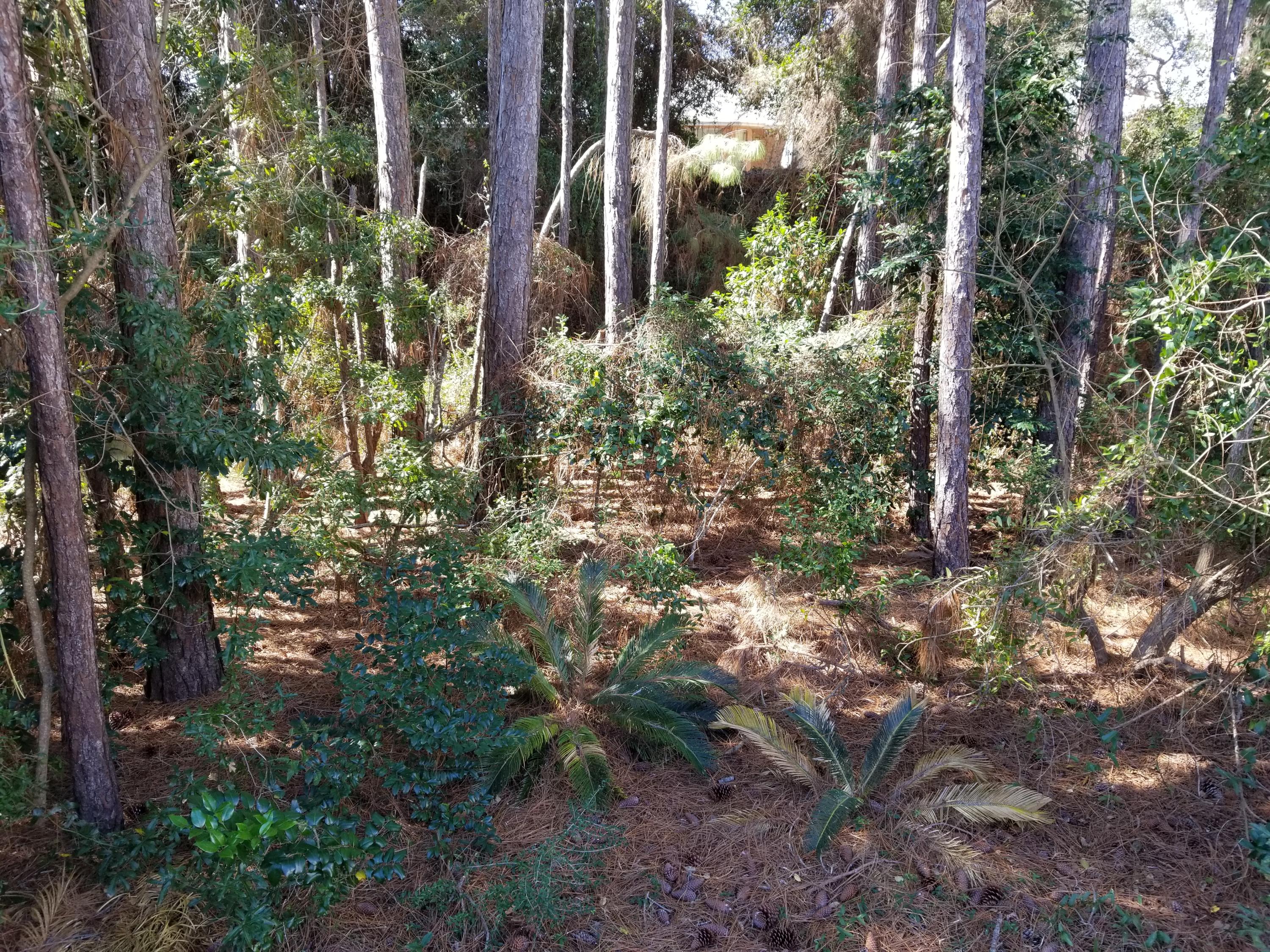 HARBOR BREEZE - Residential