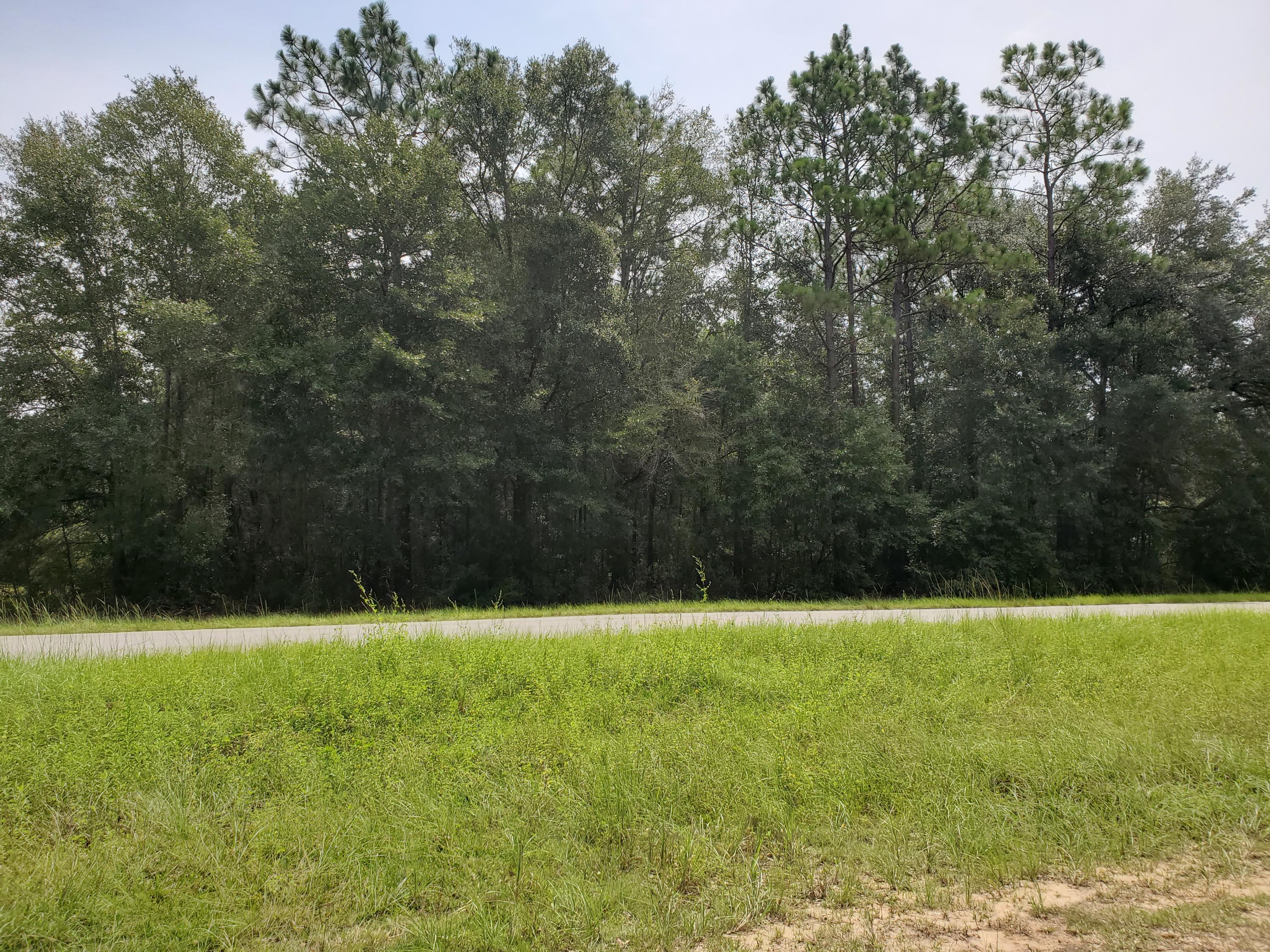 LAKEWOOD ESTATES - Land