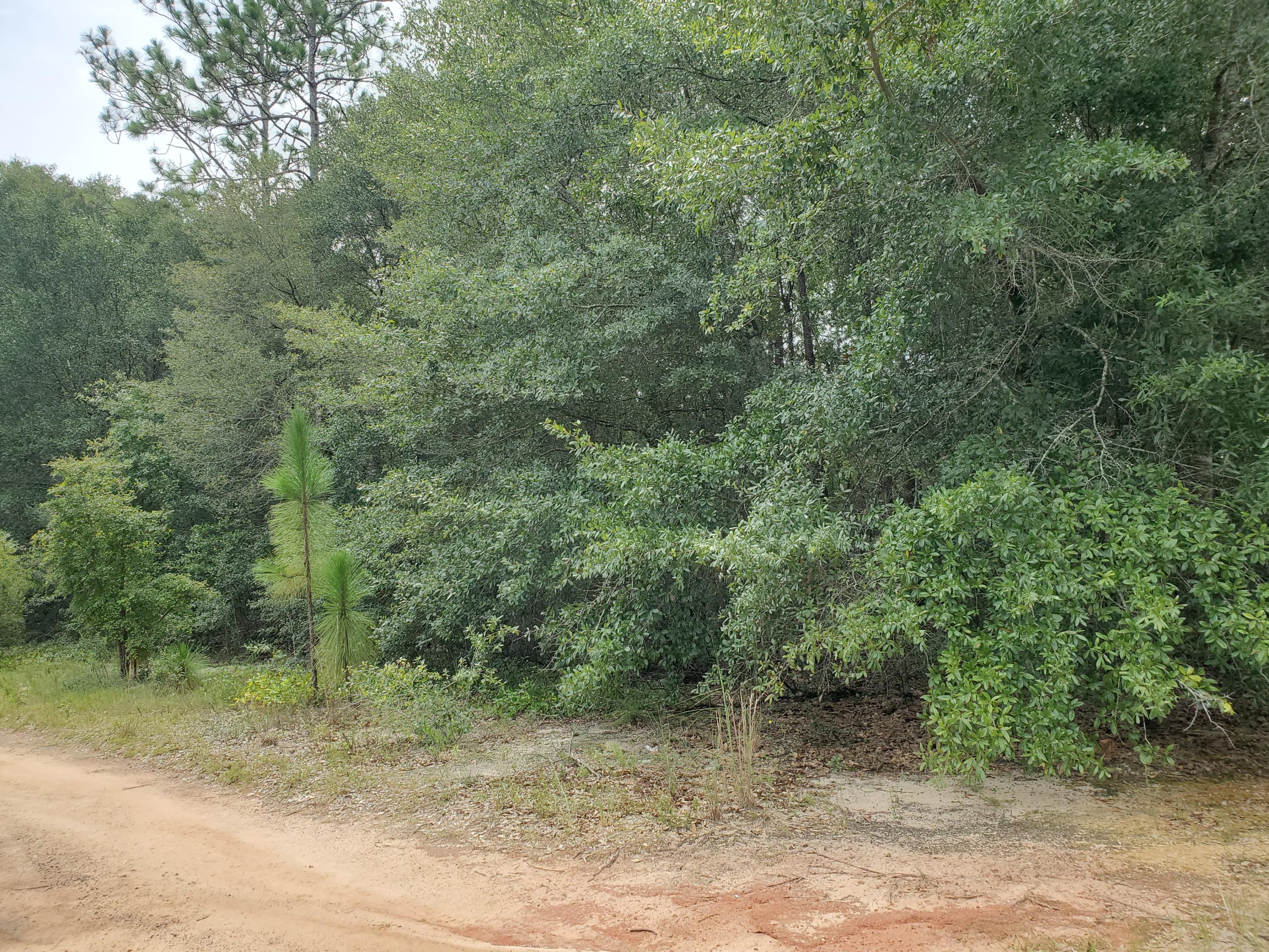 LAKEWOOD ESTATES - Land