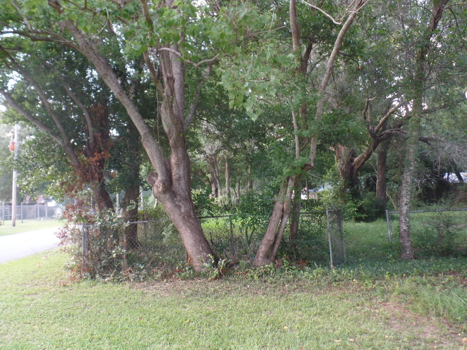 CRESTVIEW - Residential