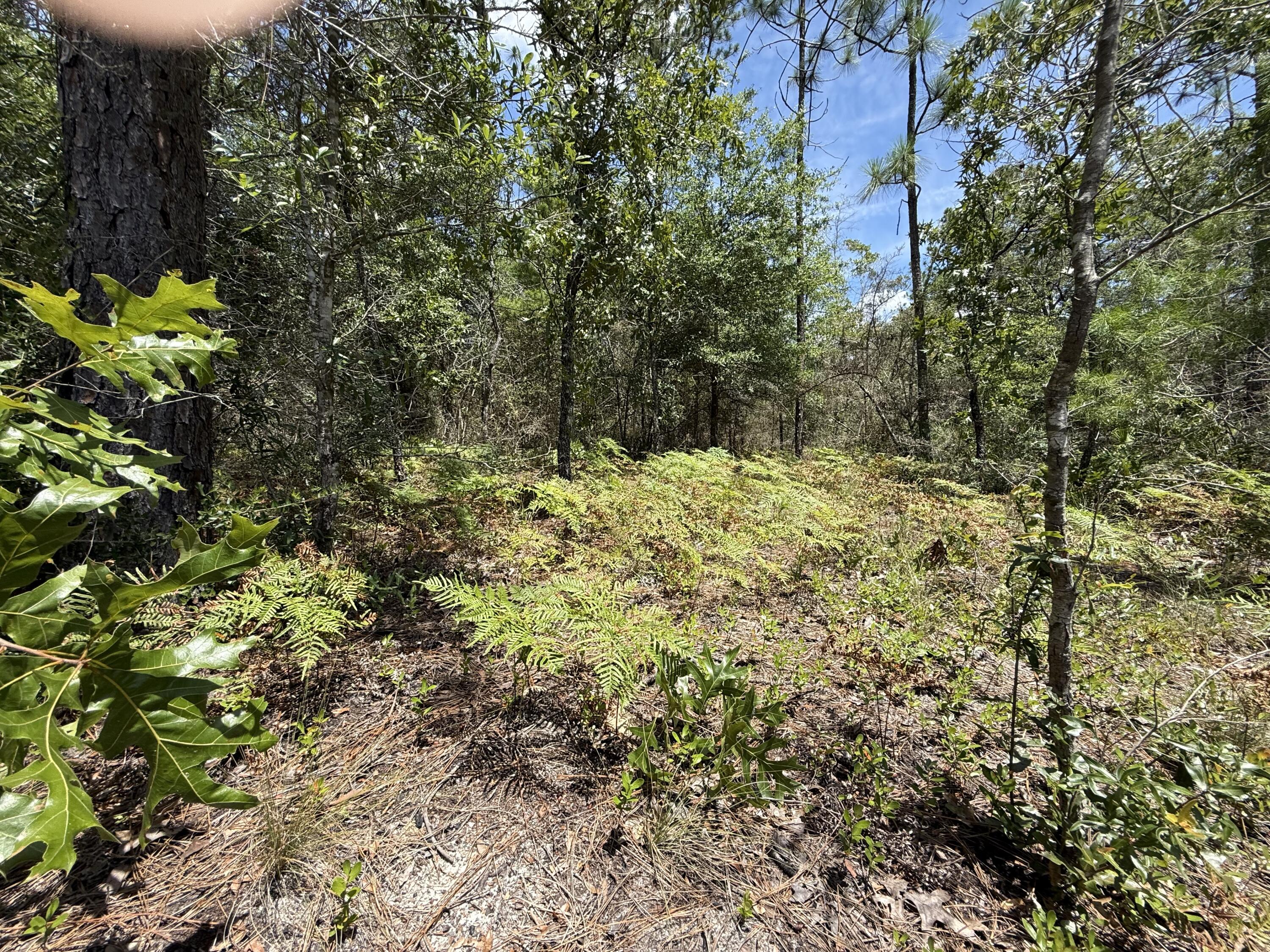 Oakwood Hills Unit I - Land