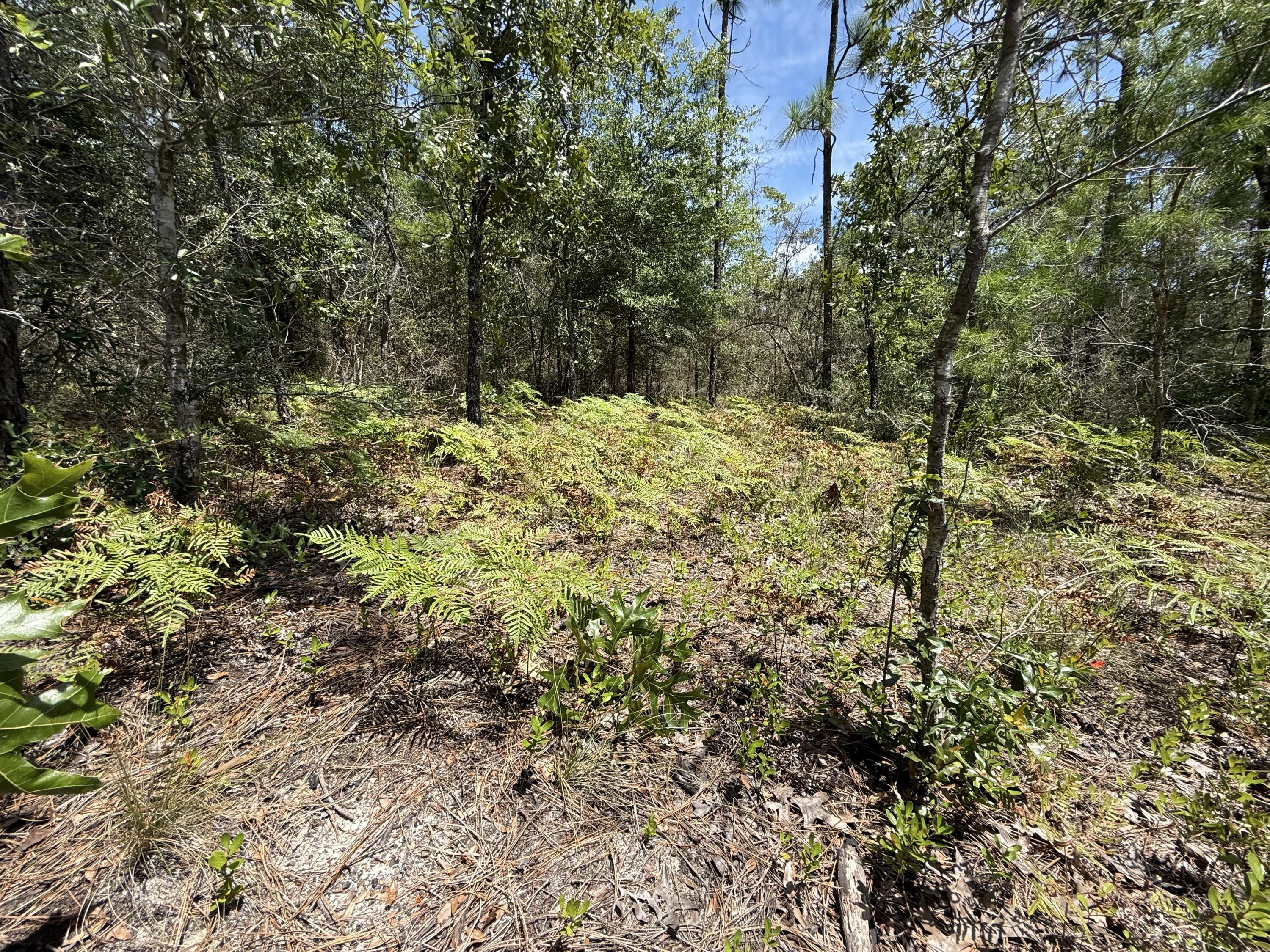 Oakwood Hills Unit I - Land