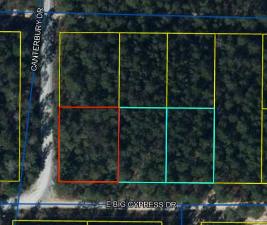 Great flat lot in the Mossy Head area. Flood Zone X. Well and Septic required. Bring your manufactured home!2 adjacent lots available as well.