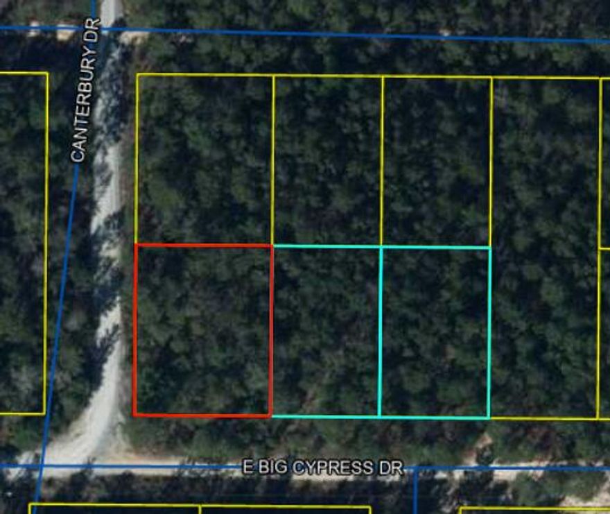 Great flat lot in the Mossy Head area.  Flood Zone X.  Well and Septic required.  Bring your manufactured home!2 adjacent lots available as well.