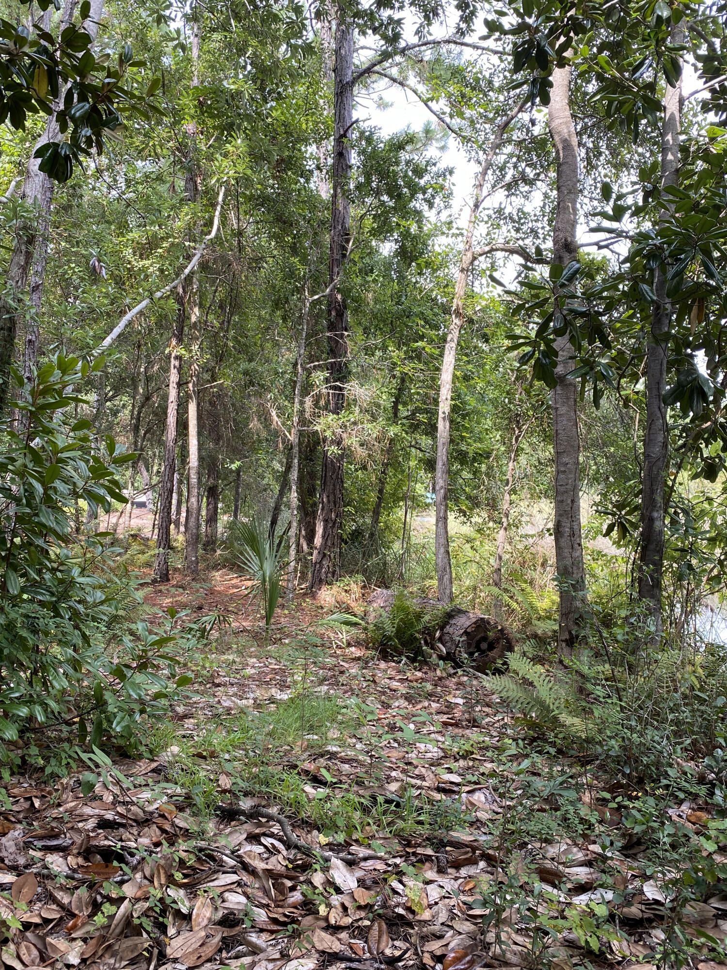 GRAYTON BEACH - Land