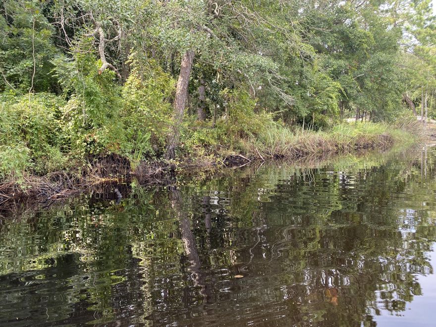 This is a rare opportunity to own a  Grayton Beach lakefront lot. This beautiful old growth wooded lot has 130 feet on Western Lake. It is located on private Grayton Trails Road with access limited to owners.  Within walking distance to restaurants, shops and the beach.