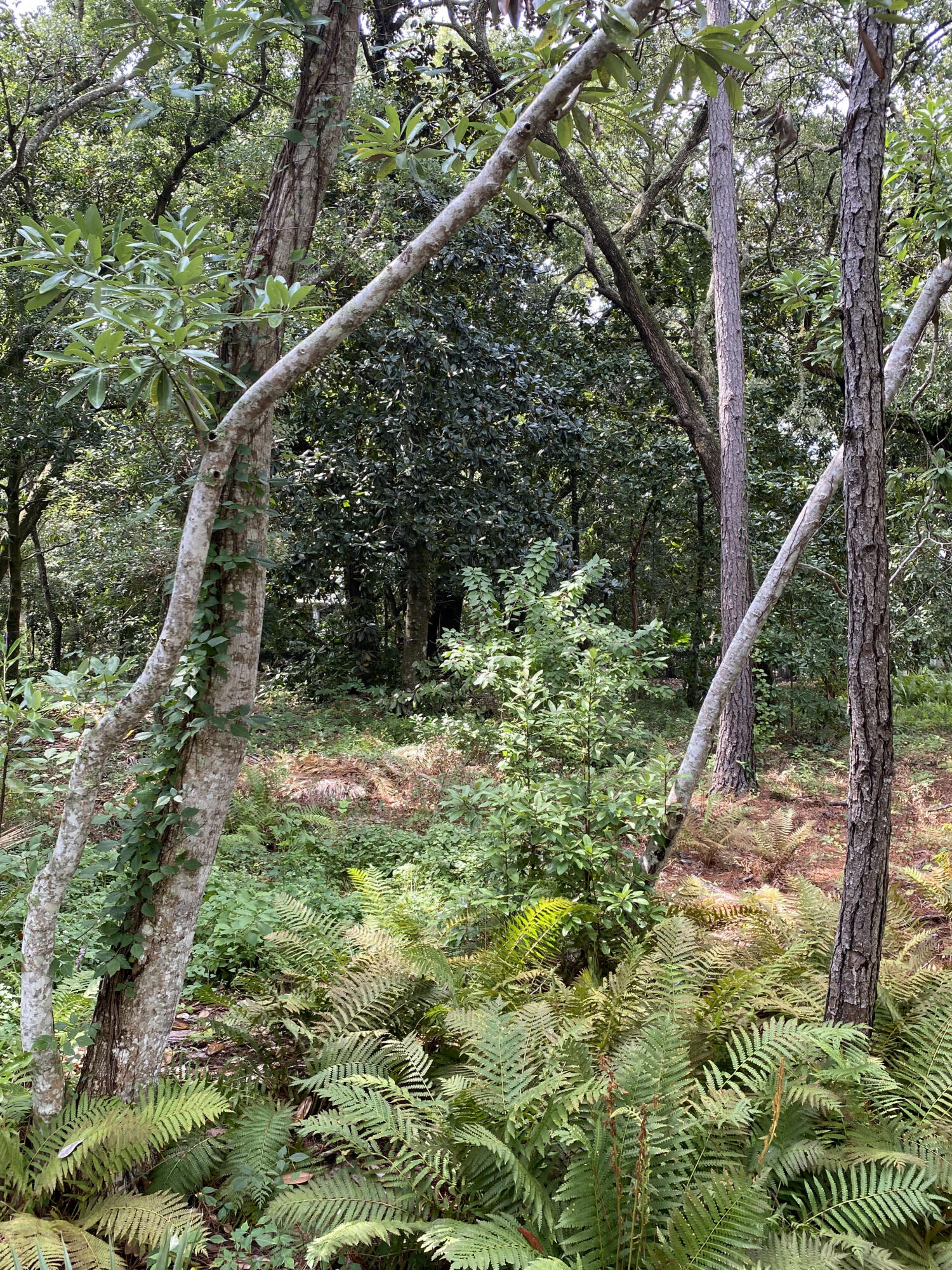 GRAYTON BEACH - Land