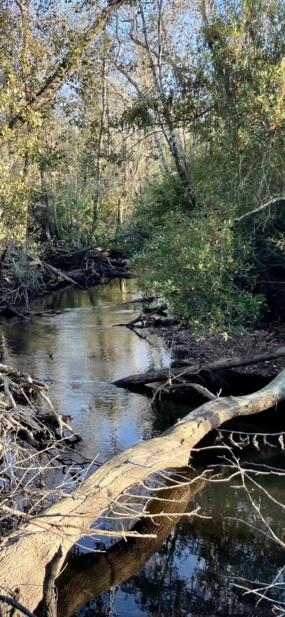 Bay County Estates Phase II - Land