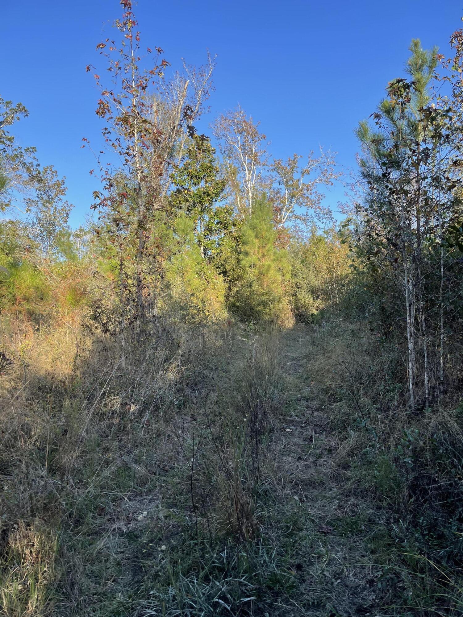 Bay County Estates Phase II - Land