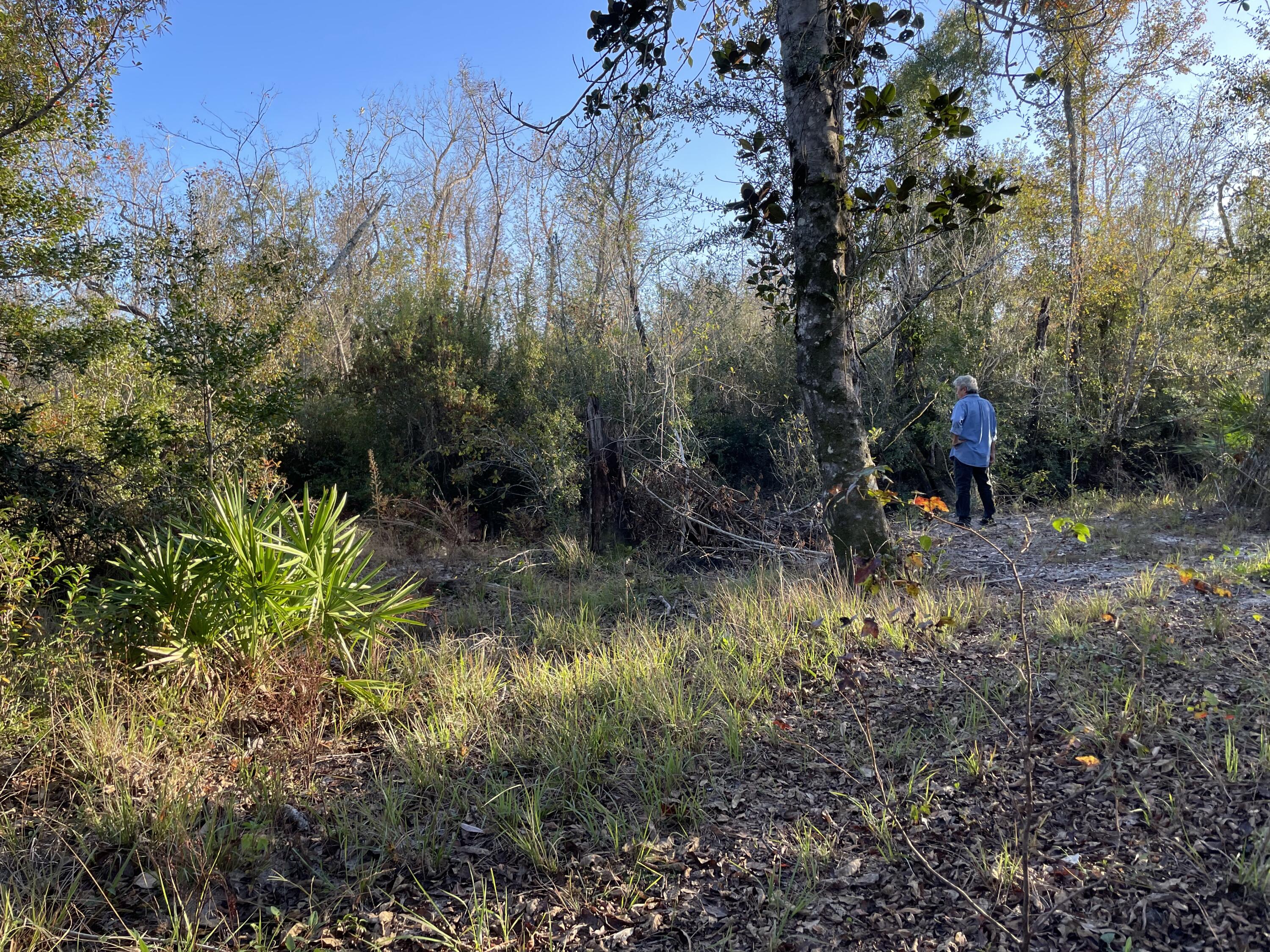 Bay County Estates Phase II - Land