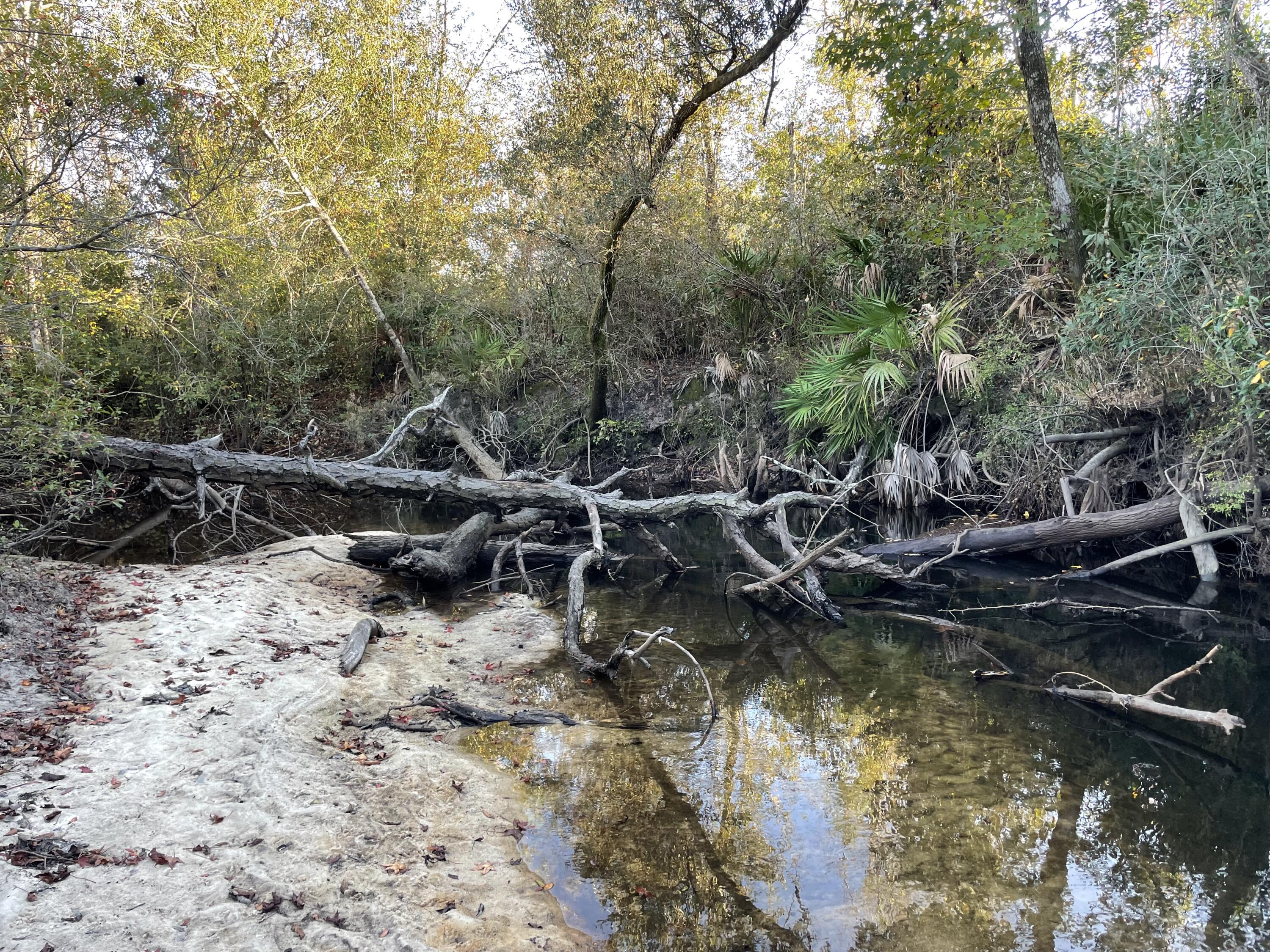 Bay County Estates Phase II - Land