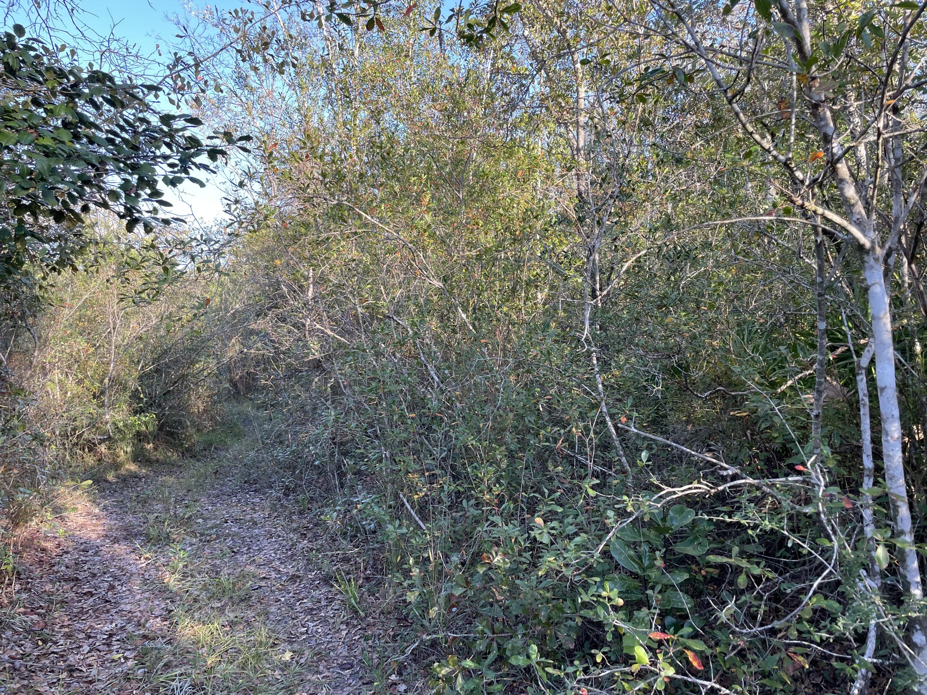 Bay County Estates Phase II - Land