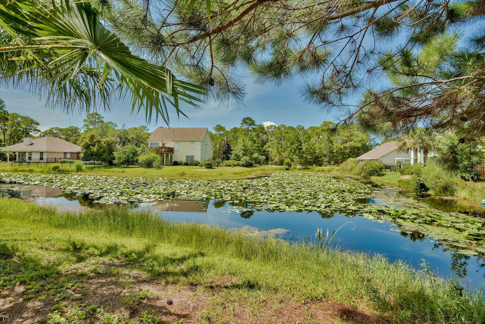 OLDE FLORIDA LAKES - Residential