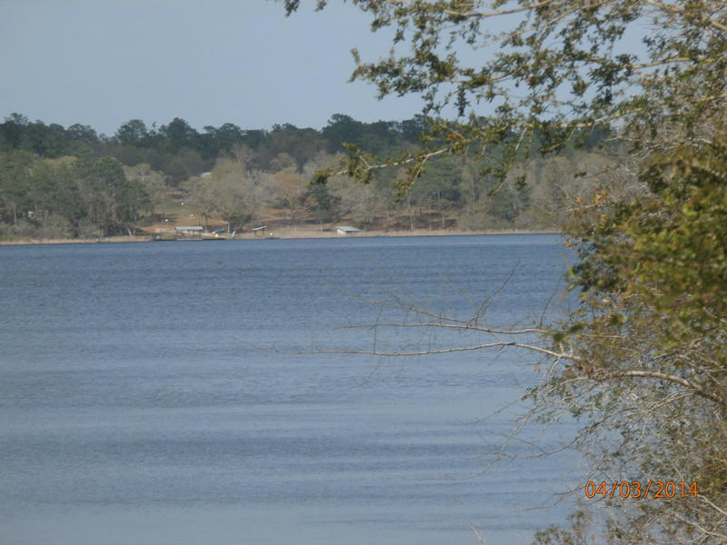 REO-This is an excellent large lot for that avid fresh water fisherman who wants seclusion and serenity. The lot is deep and sloping down to the water and finishes off with a small dock and lily pads along the bank. Financing is available to purchase and construct a home on this lot.
